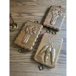 Vintage Copper Tin Lined Mold Celery And Carrots 10" x 7" Brass Handles Set 3